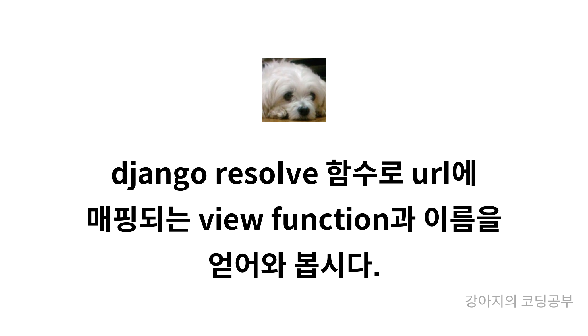 Django Resolve Url View Function Mysetting